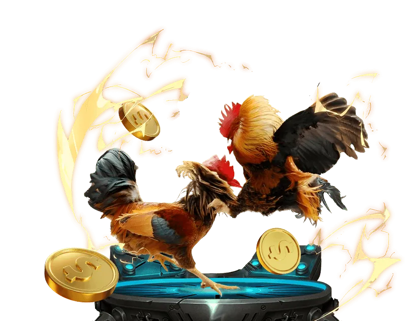 Tổng quan khuyến mãi viva88.net